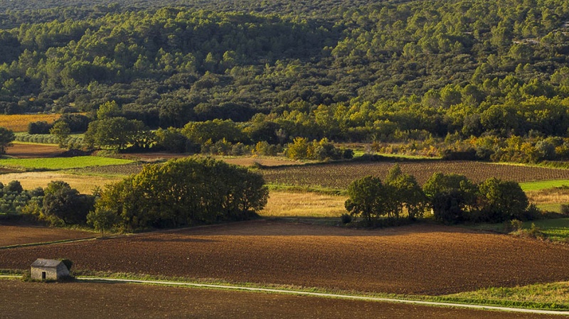 image paysage campagne de st quentin aux couleurs ocres et vertes 